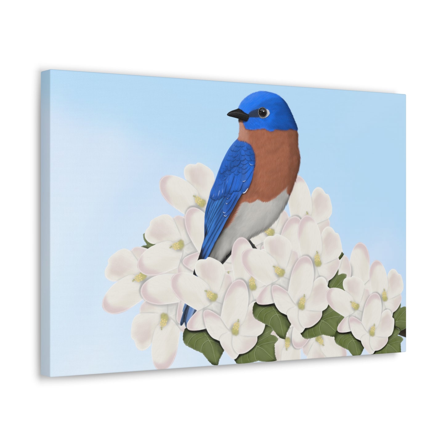 Eastern Bluebird in Spring Blossoms Bird Canvas Gallery Wrap