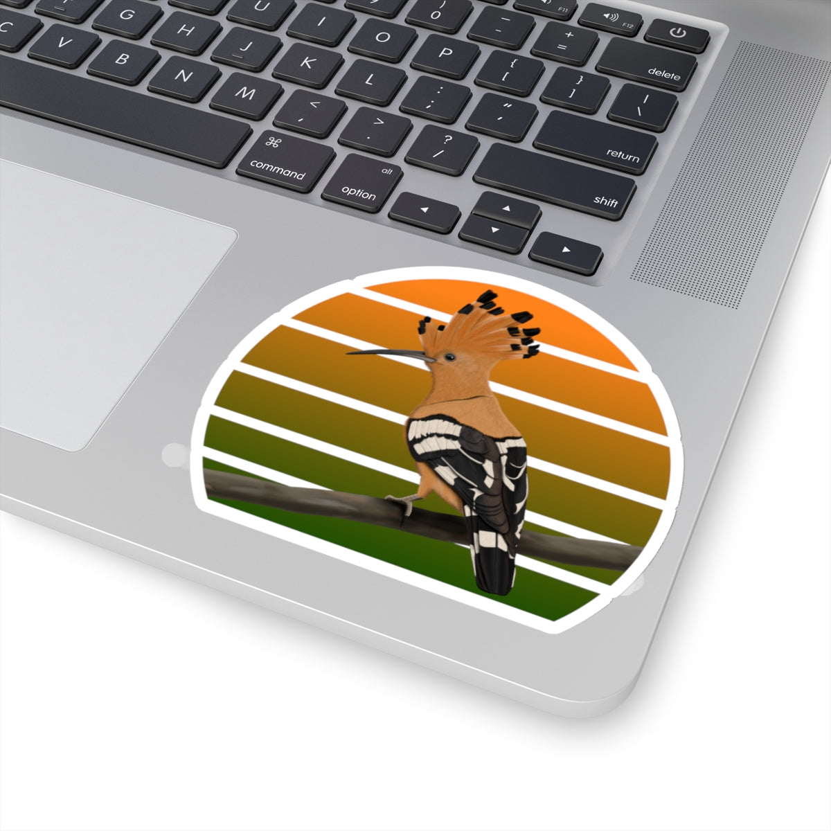 Hoopoe Bird Sticker