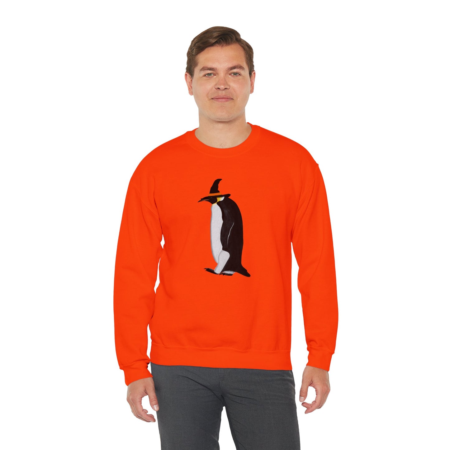 Penguin Halloween Birds Witch Birdwatcher Sweatshirt