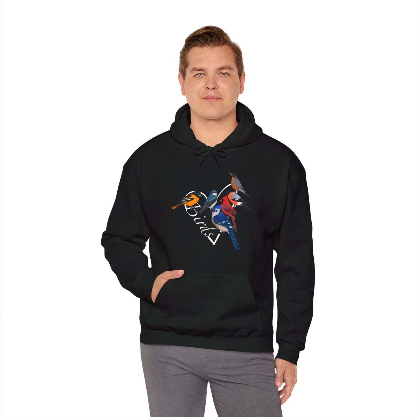 Backyard Birds Cardinal Robin Blue Jay Oriole Heart Bird Birdwatching Birdlover Hoodie