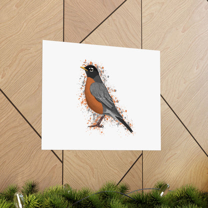 American Robin Bird Artwork Matte Poster