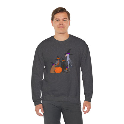 Robin Shoebill Rabbit with Cat Happy Halloween Birds Sweatshirt