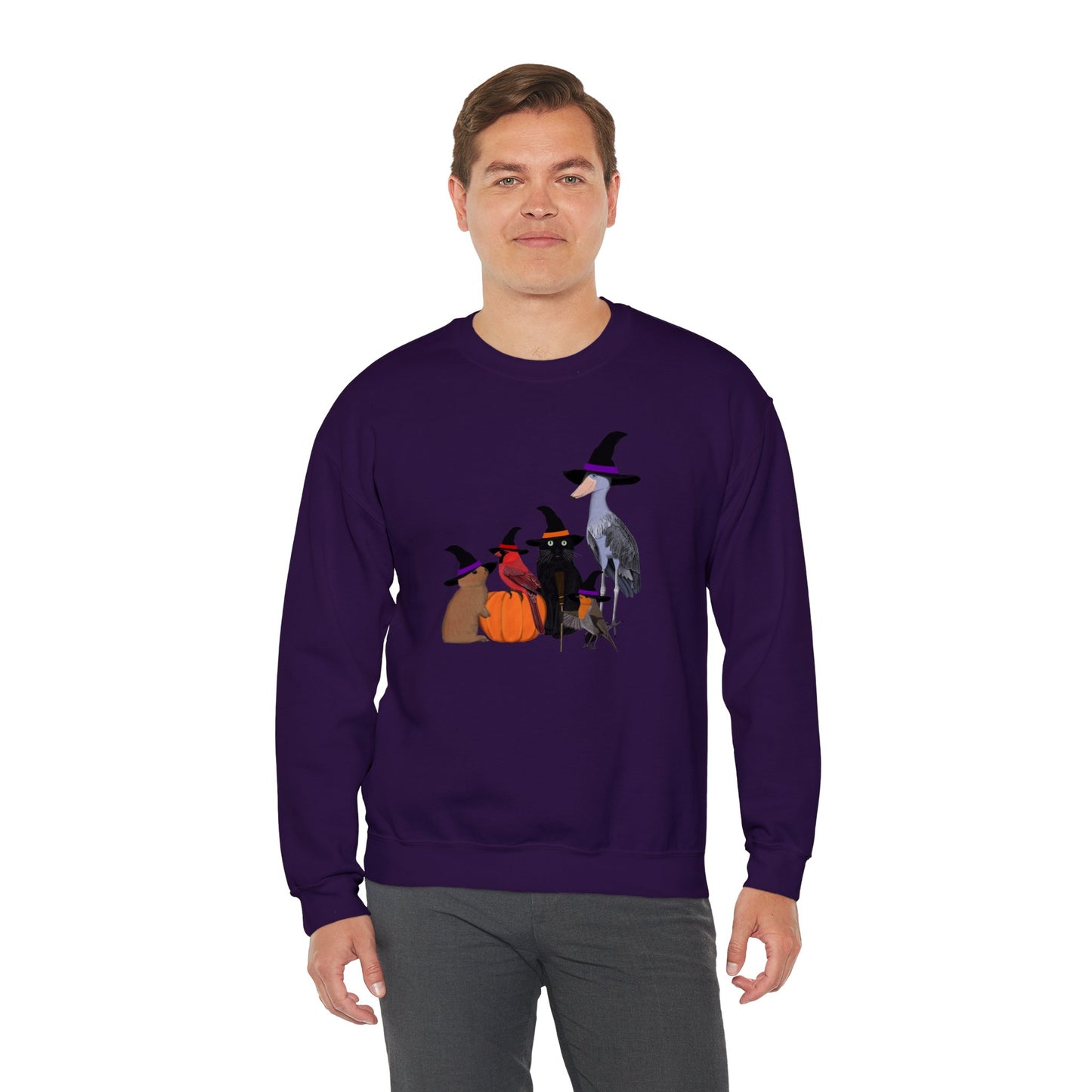 Robin Shoebill Cardinal Rabbit with Cat Happy Halloween Birds Sweatshirt