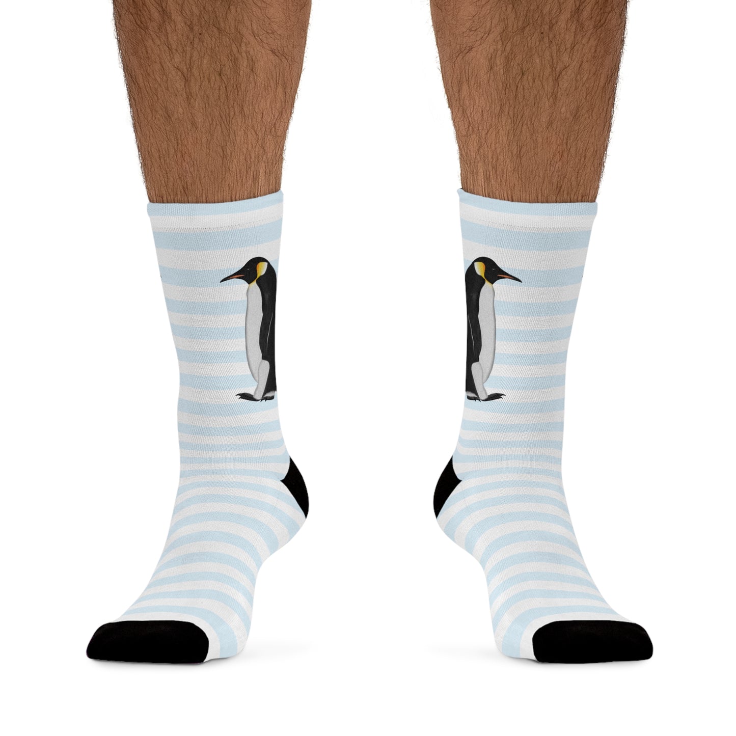 Penguin Stripes Blue White Birding & Birdwatching Bird Socks