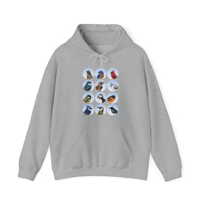 Birds Hoodie Bluebird Cardinal Blue Jay Robin Oriole Bird Lover & Bird Watcher