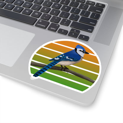 Blue Jay Bird Sticker