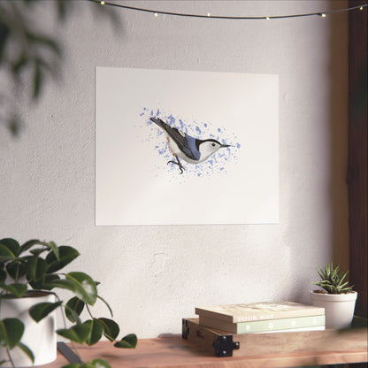 Nuthatch Bird Artwork Matte Poster