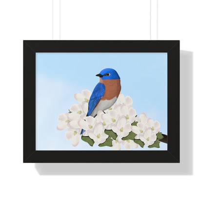 Eastern Bluebird Spring Blossoms Bird Framed Poster