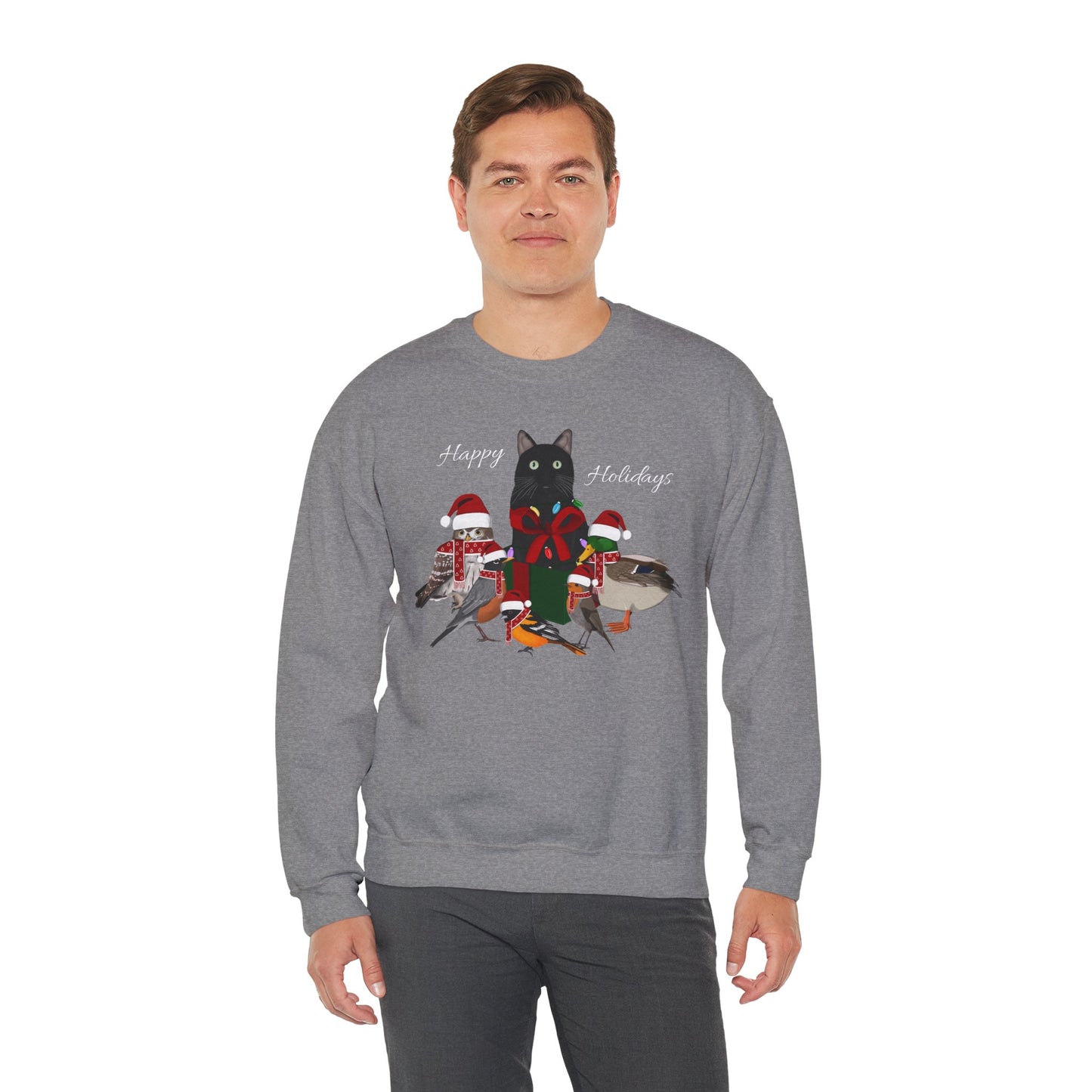 Robin Mallard Oriole Owl with Cat in a Box and Fairy Lights Happy Holidays Christmas Bird Sweatshirt