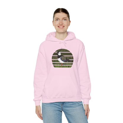 Northern Lapwing Bird Hoodie