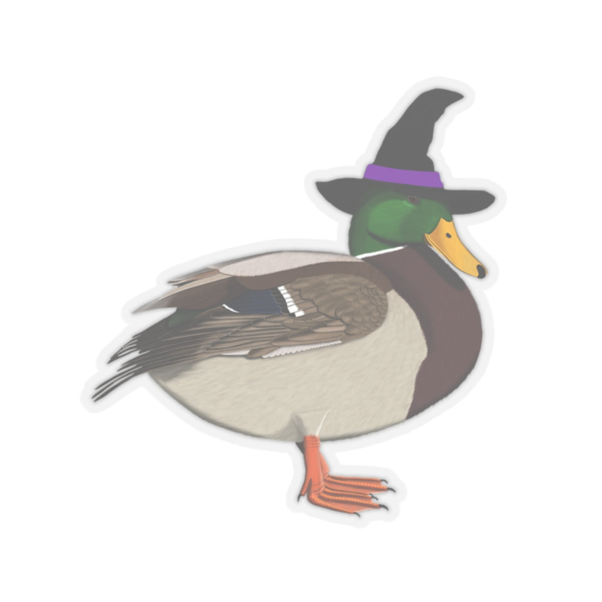 Mallard Halloween Witch Hat Bird Sticker