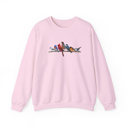 Birds on a Branch Robin Cardinal Tree Swallow Bluebird Oriole Bird Birding & Birdwatching Sweatshirt