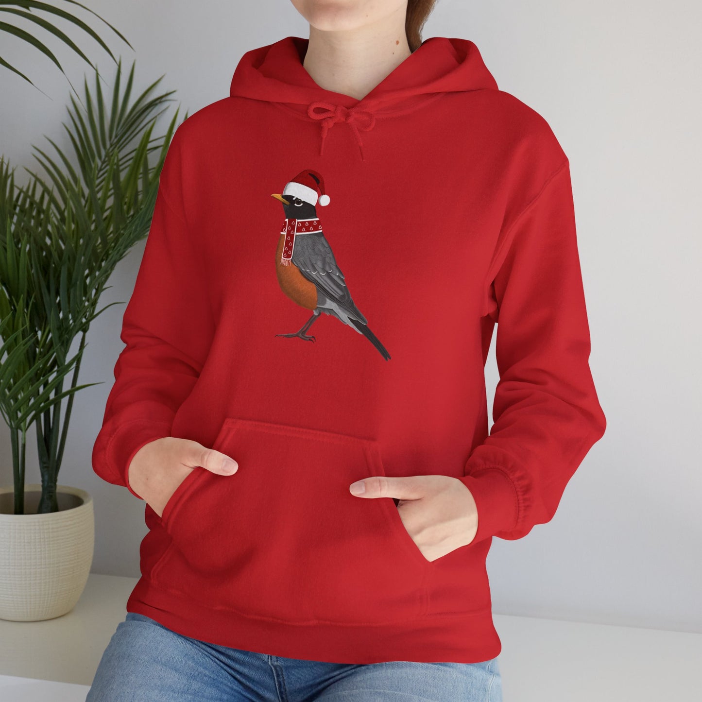 Robin Christmas Bird with Santa Hat Birdwatcher Birdlover Hoodie