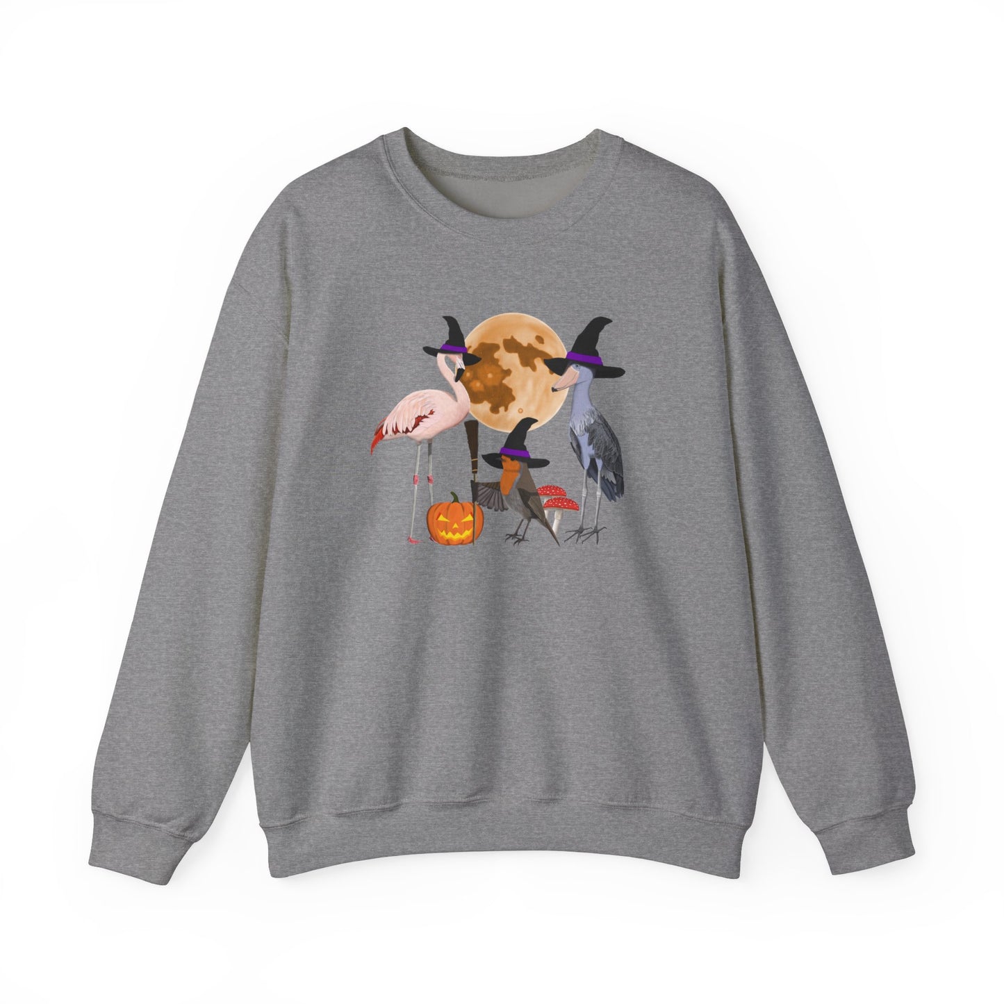 Robin Flamingo Shoebill Halloween Birds Witch Birdwatcher Sweatshirt