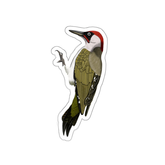 Green Woodpecker Bird Kiss-Cut Sticker