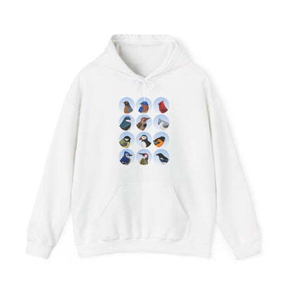 Birds Hoodie Bluebird Cardinal Blue Jay Robin Oriole Bird Lover & Bird Watcher