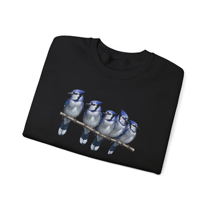Blue Jays Sweatshirt | Bird Watcher Crewneck | Unisex Songbird Gift for Bird Lovers
