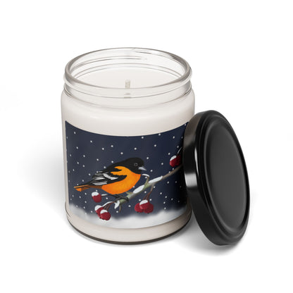 Baltimore Oriole on a Winter Branch Christmas Bird Art Scented Soy Candle, 9oz