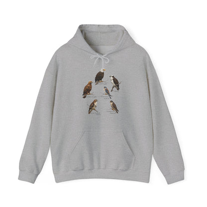 North American Raptors Hoodie – Bald Eagle, Hawk & Osprey Pullover