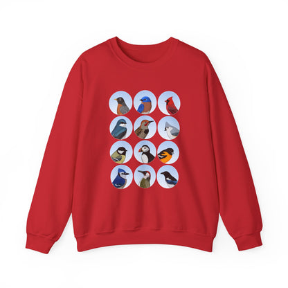 Birds Sweatshirt Bluebird Cardinal Robin Blue Jay Puffin Bird Watching & Bird Lovers