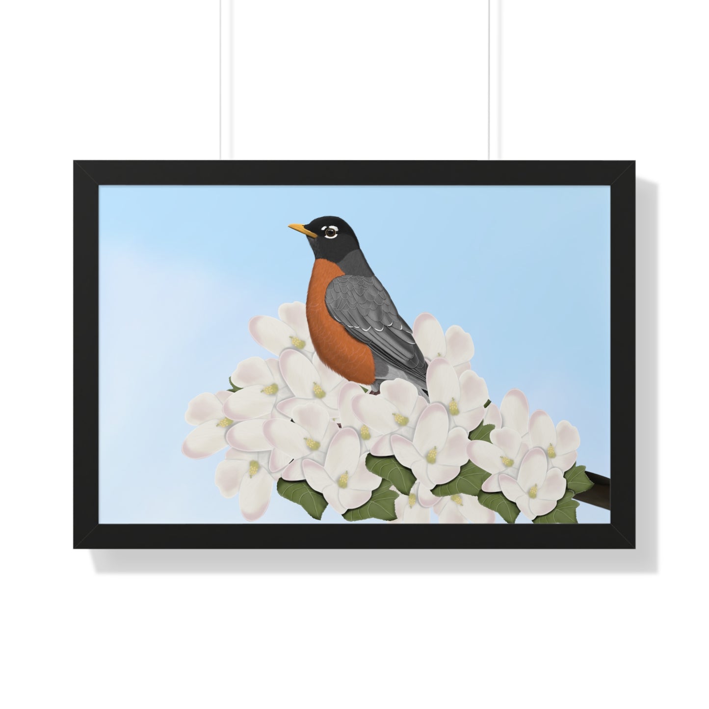 american robin bird art framed poster