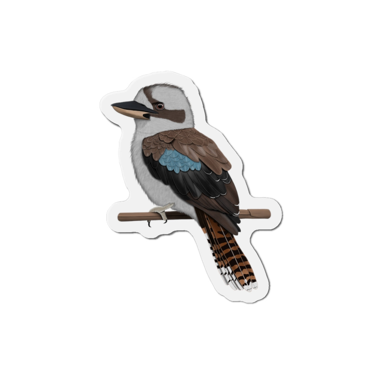 Kookaburra Bird Magnet