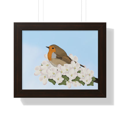 Robin Spring Blossoms Bird Framed Poster