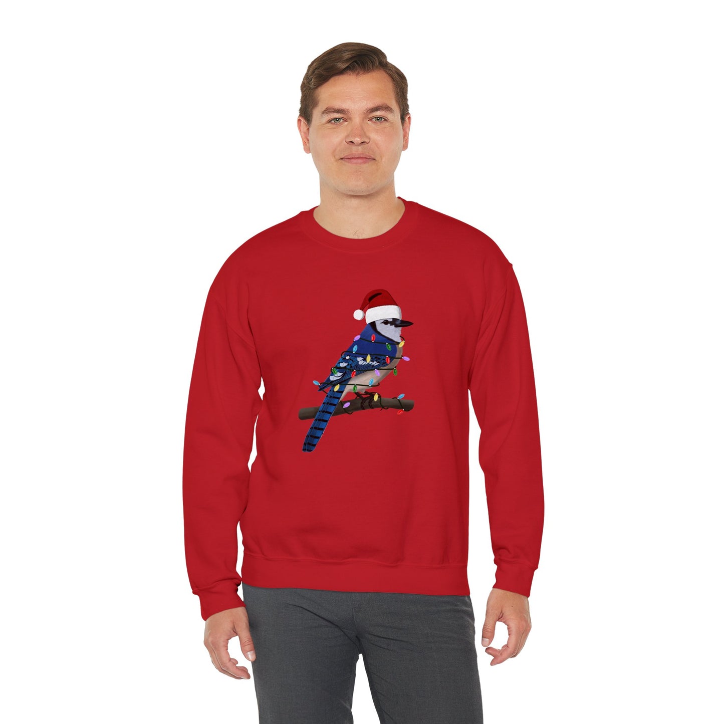 Blue Jay with Fairy Lights Santa Claus Christmas Bird Sweatshirt