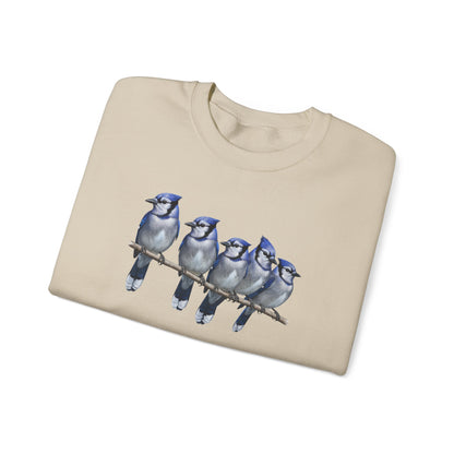 Blue Jays Sweatshirt | Bird Watcher Crewneck | Unisex Songbird Gift for Bird Lovers