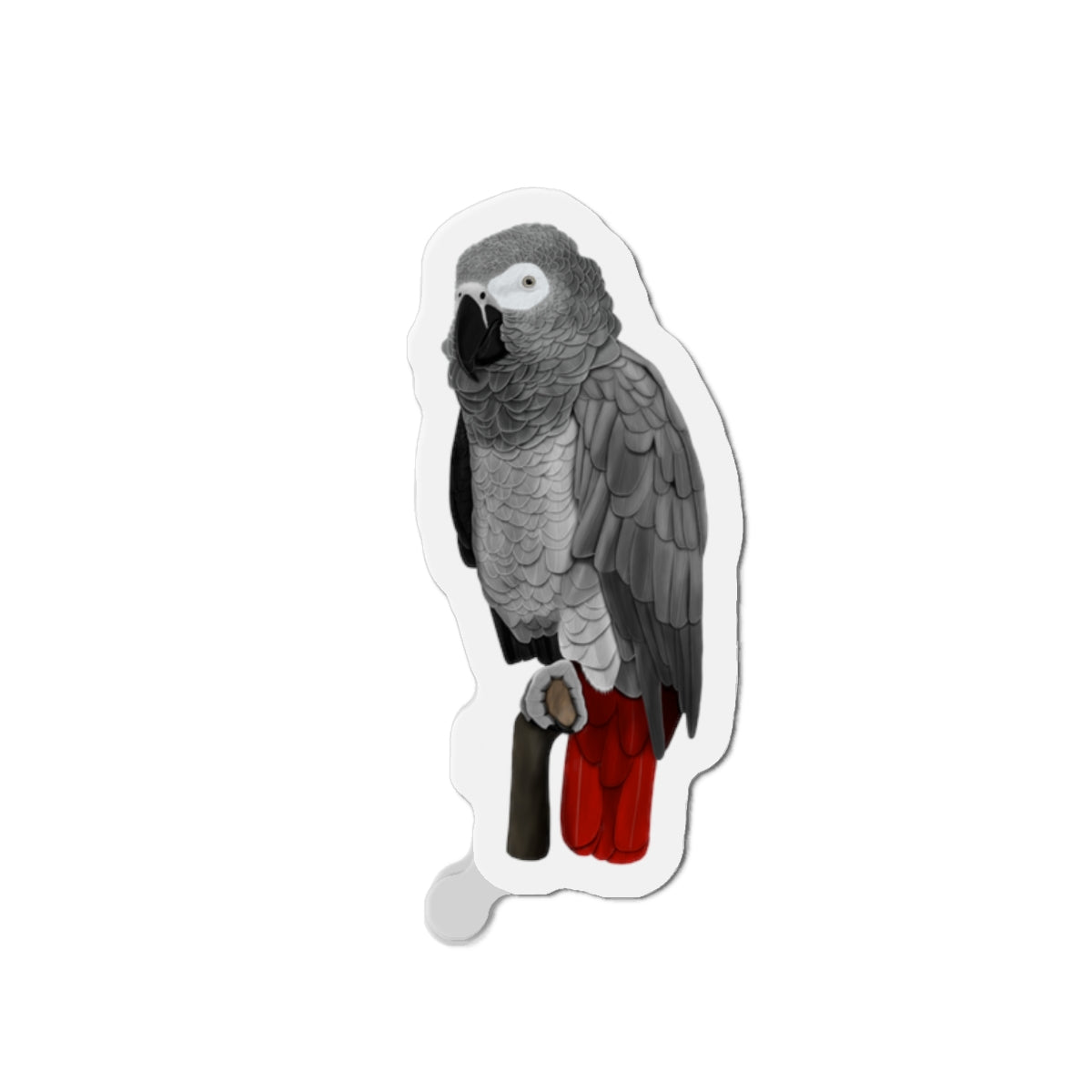 Grey Parrot Bird Magnet