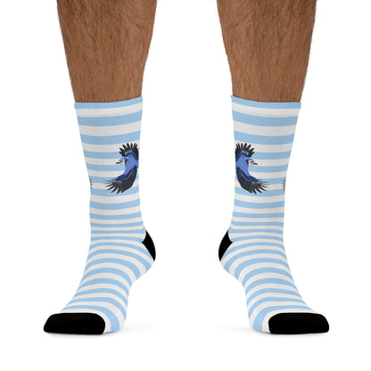 Blue Jay Stripes Blue White Birding & Birdwatching Bird Socks