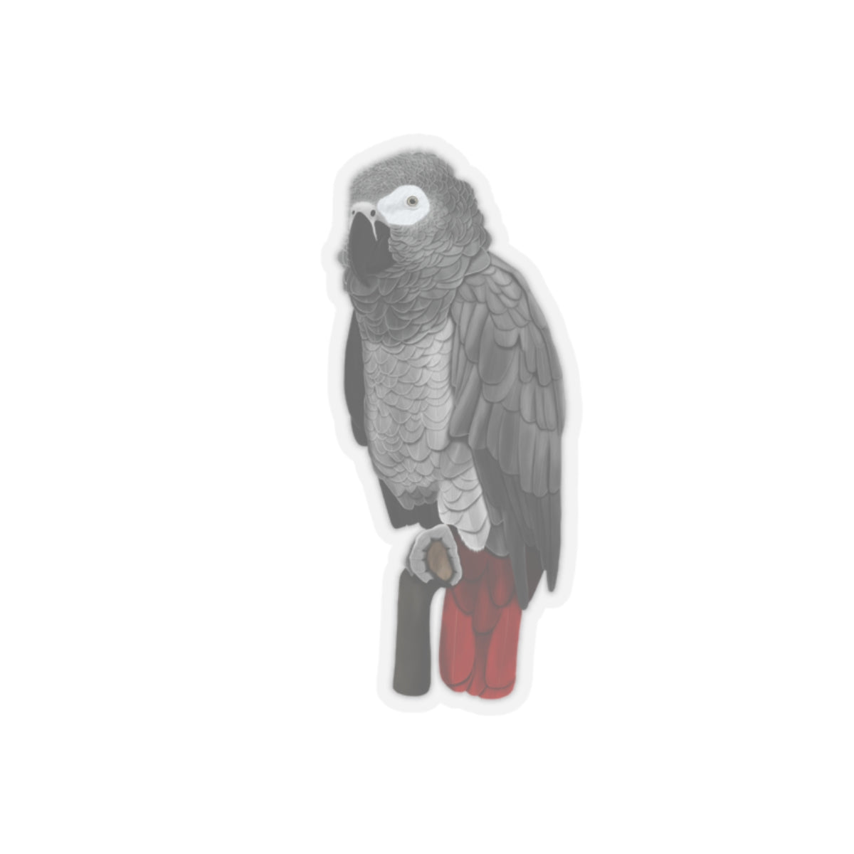 Grey Parrot Bird Kiss-Cut Sticker