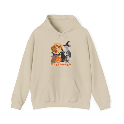 Baltimore Oriole Robin Shoebill with Cat and Bunny Halloween Bird Hoodie