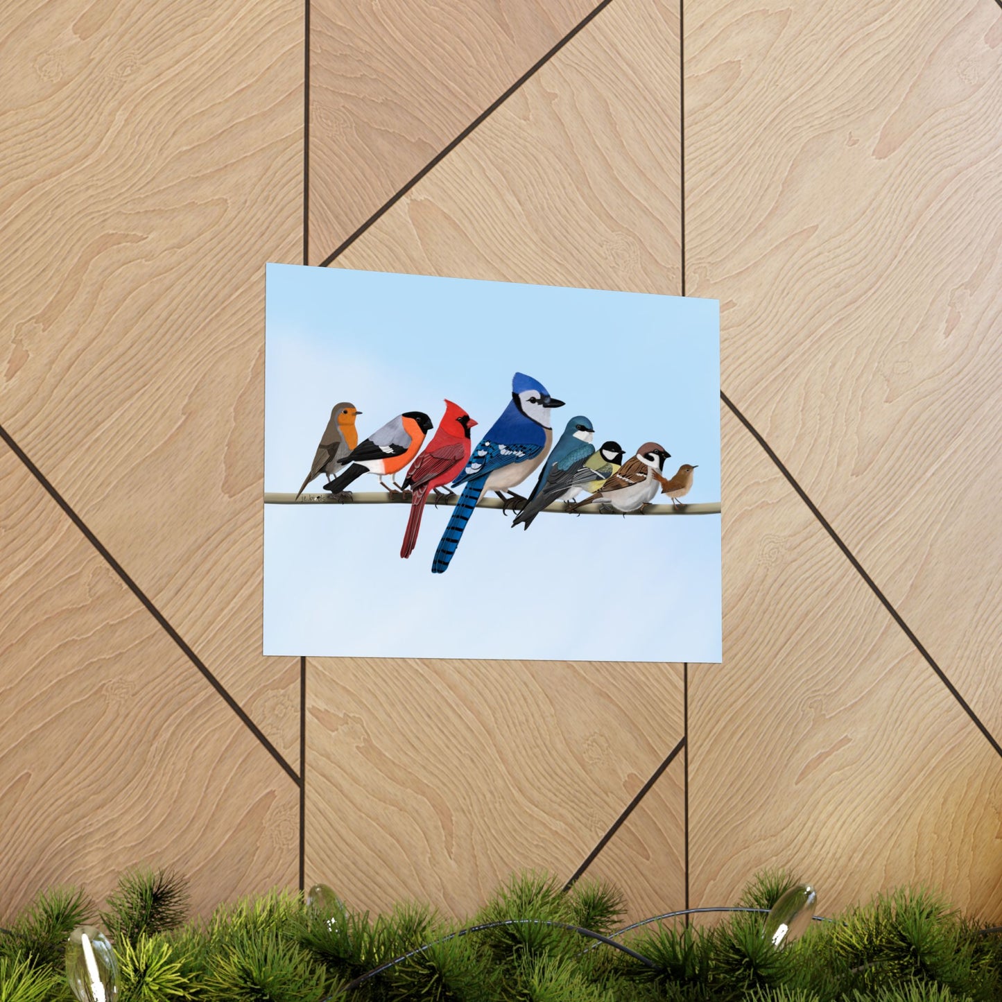 Backyard Birds Blue Jay Cardinal Bullfinch Robin Matte Bird Poster