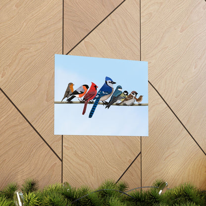 Backyard Birds Blue Jay Cardinal Bullfinch Robin Matte Bird Poster