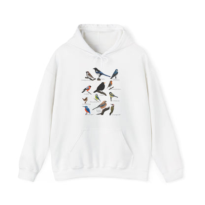 Gartenvögel Vogel Hoodie - Amsel Rotkehlchen Blaumeise Kapuzenpullover für Vogelbeobachter & Naturliebhaber mit Vogelmotiv