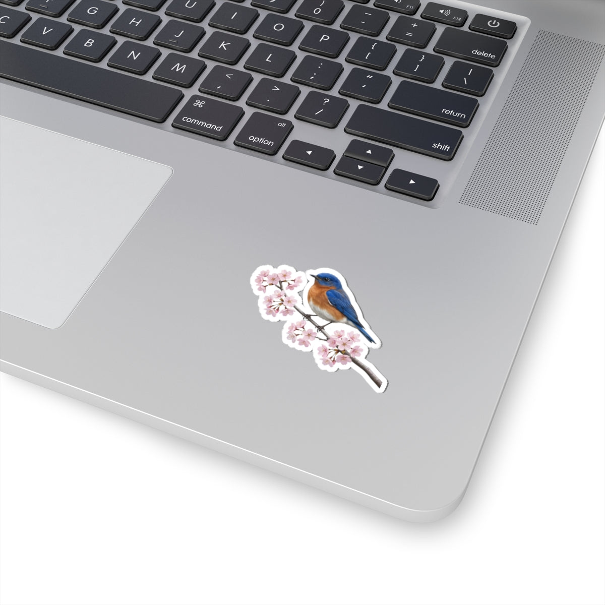 Bluebird Cherry Blossom Sticker | Glossy Floral Bird Decal | Spring Laptop Sticker