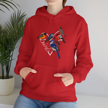 Backyard Birds Cardinal Robin Blue Jay Oriole Heart Bird Birdwatching Birdlover Hoodie