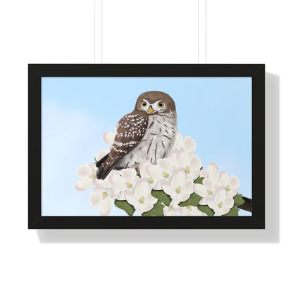 Little Owl Spring Blossoms Bird Framed Poster