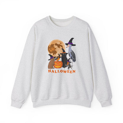 Oriole Robin Shoebill Rabbit with Cat and Bunny Halloween Bird Sweatshirt