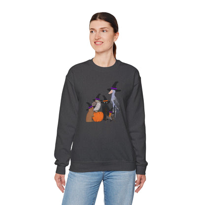 Robin Shoebill Owl Rabbit with Cat Happy Halloween Birds Sweatshirt