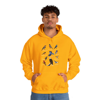 Blue Jay Cardinal Hummingbird Bald Eagle Robin Bird Hoodie