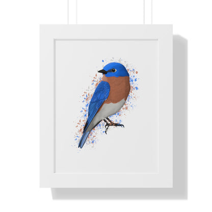 Bluebird Bird Framed Poster