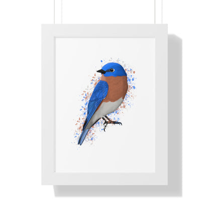 Bluebird Bird Framed Poster