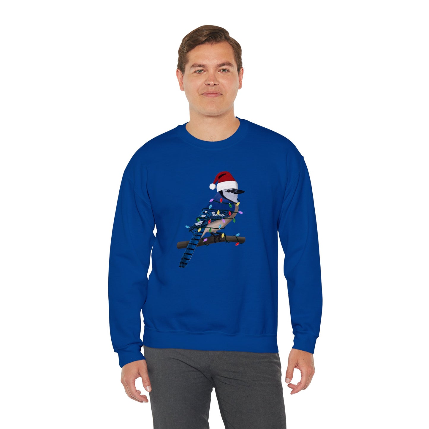 Blue Jay with Fairy Lights Santa Claus Christmas Bird Sweatshirt