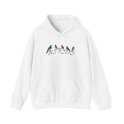 Birds Blue Jay Cardinal Robin Tree Swallow Bluebird Birding & Birdwatching Hoodie