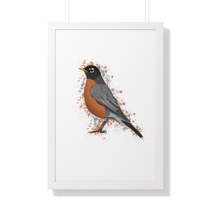 Robin Bird Framed Poster