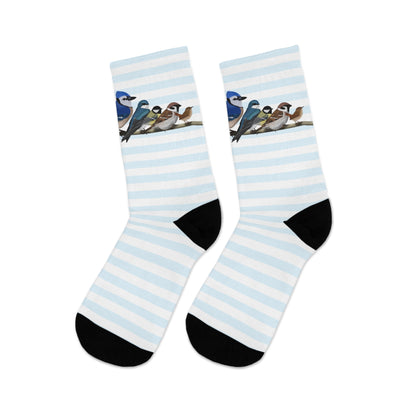 Garden Birds Blue Jay Cardinal Bullfinch Stripes Blue White Birding & Birdwatching Bird Socks