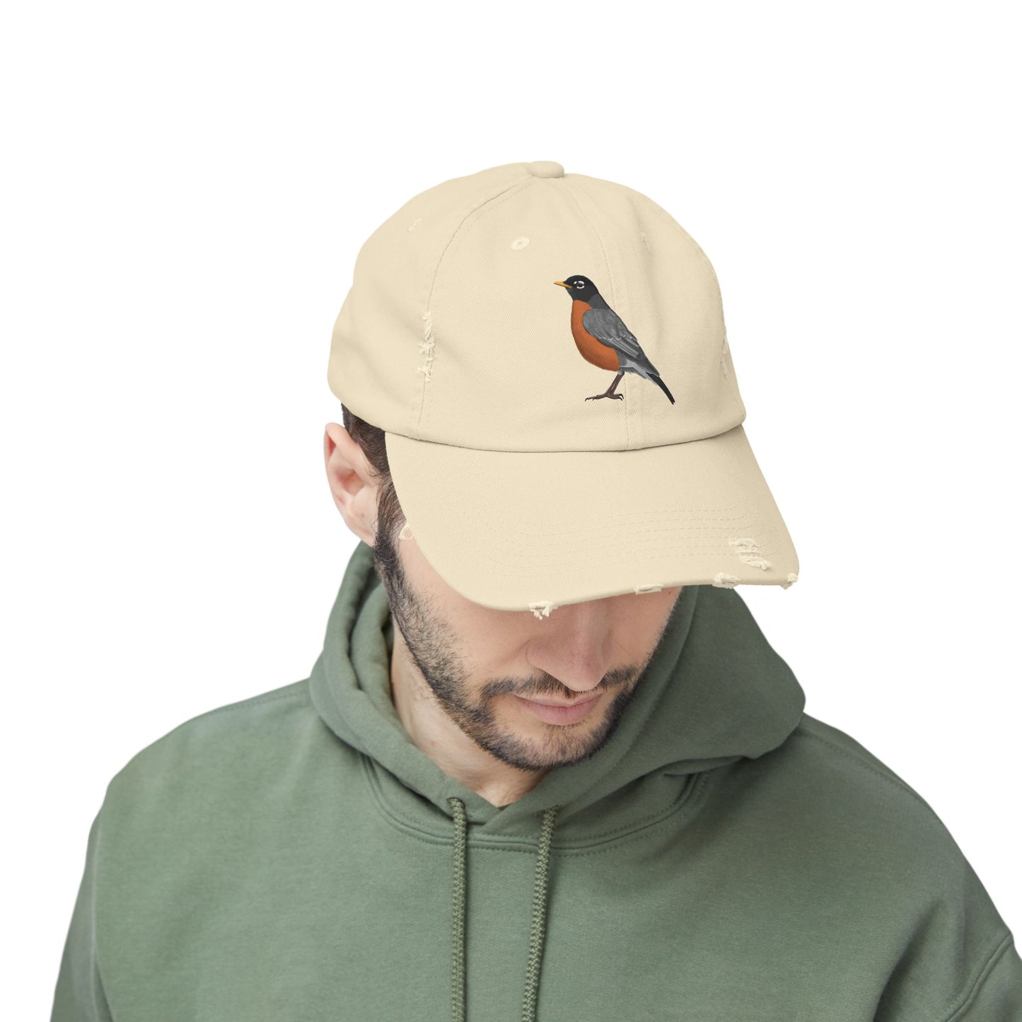 American Robin Bird Art Distressed Cap