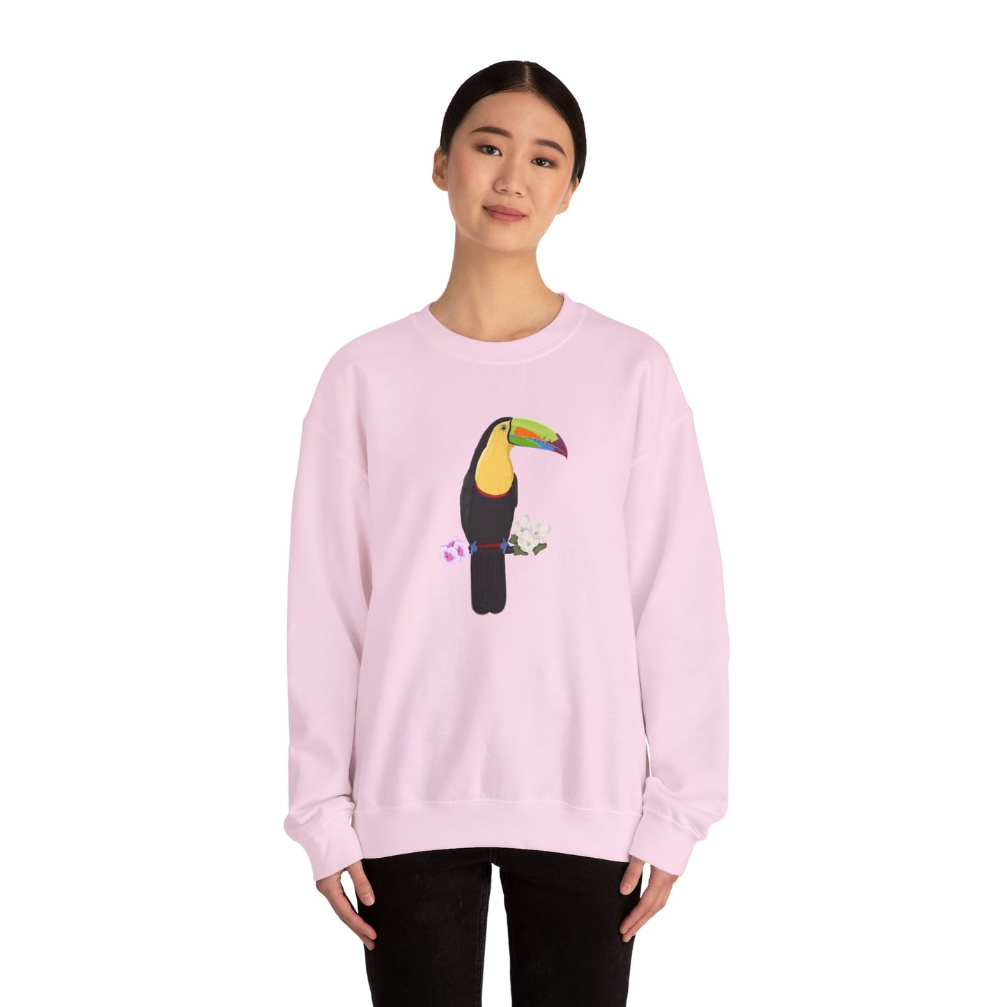 Keel-Billed Toucan Birdlover Ornithologist Bird Sweatshirt